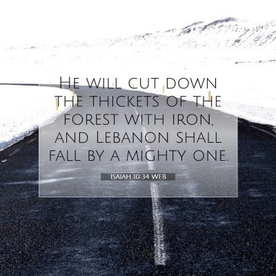 Picture 07 - Isaiah 10:34 WEB - He will cut down the thickets of the forest with - Bible Verse Picture