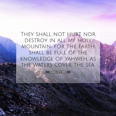 Picture 07 - Isaiah 11:9 WEB - They shall not hurt nor destroy in all my holy - Bible Verse Picture