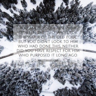 Picture 07 - Isaiah 22:11 WEB - you made also a reservoir between the two walls - Bible Verse Picture