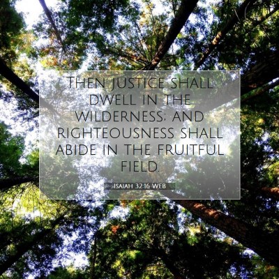 Picture 07 - Isaiah 32:16 WEB - Then justice shall dwell in the wilderness; and - Bible Verse Picture