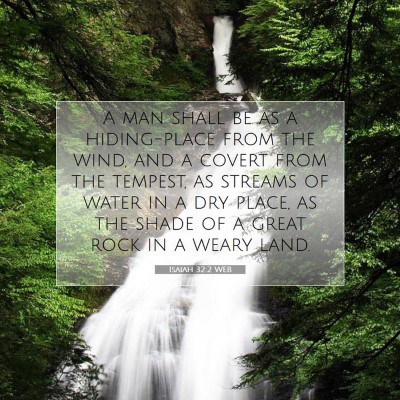 Picture 07 - Isaiah 32:2 WEB - A man shall be as a hiding-place from the wind, - Bible Verse Picture