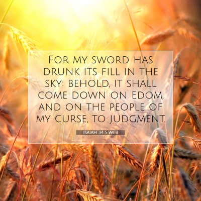Picture 07 - Isaiah 34:5 WEB - For my sword has drunk its fill in the sky: - Bible Verse Picture