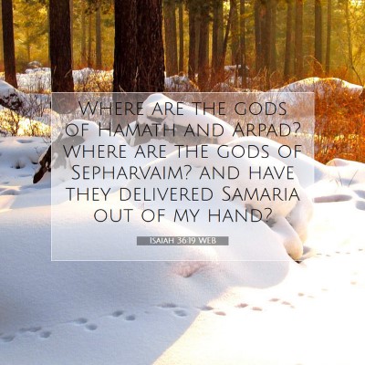 Picture 07 - Isaiah 36:19 WEB - Where are the gods of Hamath and Arpad? where are - Bible Verse Picture