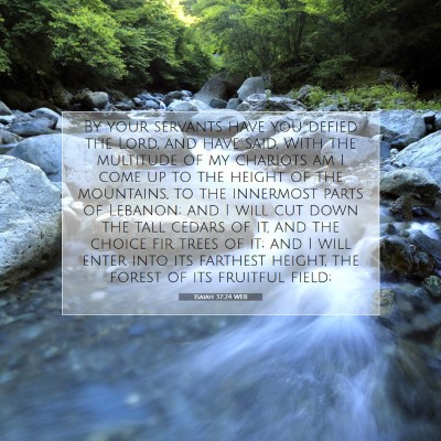 Picture 07 - Isaiah 37:24 WEB - By your servants have you defied the Lord, and - Bible Verse Picture