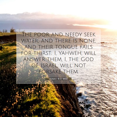 Picture 07 - Isaiah 41:17 WEB - The poor and needy seek water, and there is none, - Bible Verse Picture