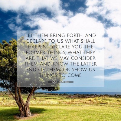 Picture 07 - Isaiah 41:22 WEB - Let them bring forth, and declare to us what - Bible Verse Picture