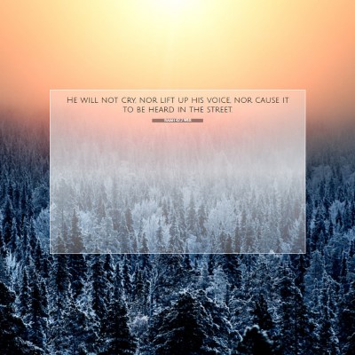 Picture 07 - Isaiah 42:2 WEB - He will not cry, nor lift up his voice, nor cause - Bible Verse Picture