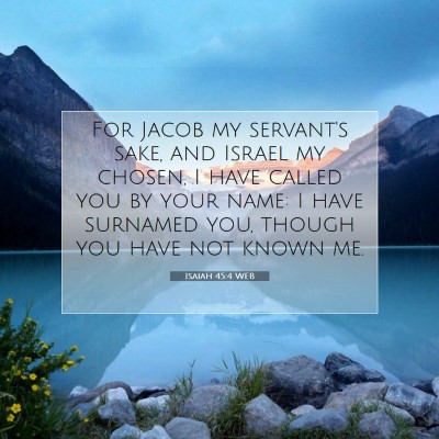 Picture 07 - Isaiah 45:4 WEB - For Jacob my servant's sake, and Israel my - Bible Verse Picture