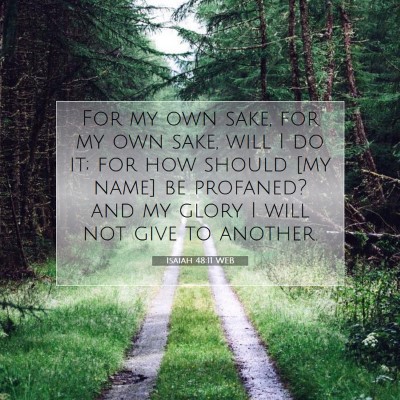 Picture 07 - Isaiah 48:11 WEB - For my own sake, for my own sake, will I do it; - Bible Verse Picture