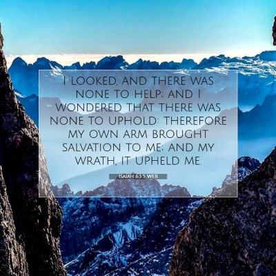Picture 07 - Isaiah 63:5 WEB - I looked, and there was none to help; and I - Bible Verse Picture
