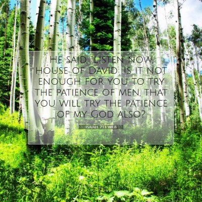 Picture 07 - Isaiah 7:13 WEB - He said, 