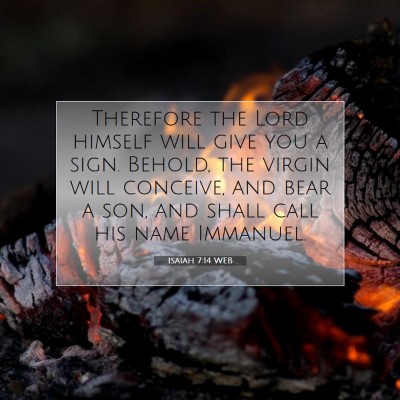 Picture 07 - Isaiah 7:14 WEB - Therefore the Lord himself will give you a sign. - Bible Verse Picture