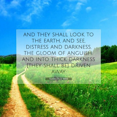 Picture 07 - Isaiah 8:22 WEB - and they shall look to the earth, and see, - Bible Verse Picture