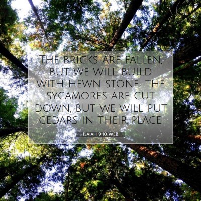 Picture 07 - Isaiah 9:10 WEB - The bricks are fallen, but we will build with - Bible Verse Picture