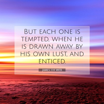 Picture 07 - James 1:14 WEB - But each one is tempted, when he is drawn away by - Bible Verse Picture