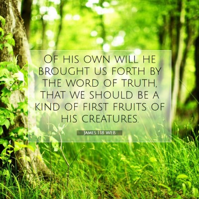 Picture 07 - James 1:18 WEB - Of his own will he brought us forth by the word - Bible Verse Picture
