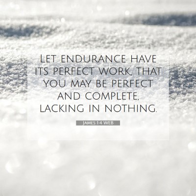 Picture 07 - James 1:4 WEB - Let endurance have its perfect work, that you may - Bible Verse Picture