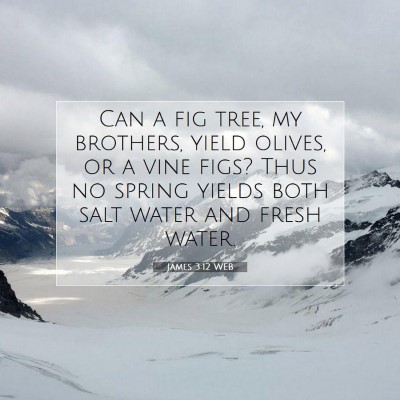 Picture 07 - James 3:12 WEB - Can a fig tree, my brothers, yield olives, or a - Bible Verse Picture