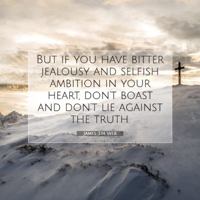 Picture 07 - James 3:14 WEB - But if you have bitter jealousy and selfish - Bible Verse Picture