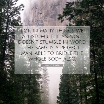 Picture 07 - James 3:2 WEB - For in many things we all stumble. If anyone - Bible Verse Picture