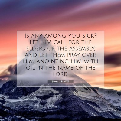Picture 07 - James 5:14 WEB - Is any among you sick? Let him call for the - Bible Verse Picture
