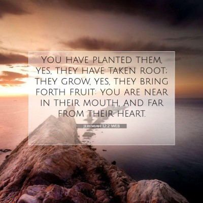 Picture 07 - Jeremiah 12:2 WEB - You have planted them, yes, they have taken root; - Bible Verse Picture