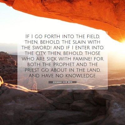 Picture 07 - Jeremiah 14:18 WEB - If I go forth into the field, then, behold, the - Bible Verse Picture