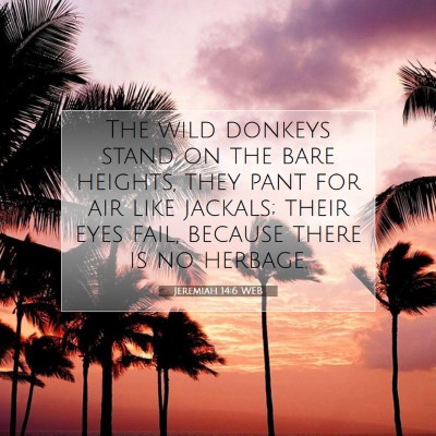 Picture 07 - Jeremiah 14:6 WEB - The wild donkeys stand on the bare heights, they - Bible Verse Picture