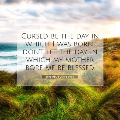 Picture 07 - Jeremiah 20:14 WEB - Cursed be the day in which I was born: don't let - Bible Verse Picture