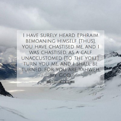 Picture 07 - Jeremiah 31:18 WEB - I have surely heard Ephraim bemoaning himself - Bible Verse Picture