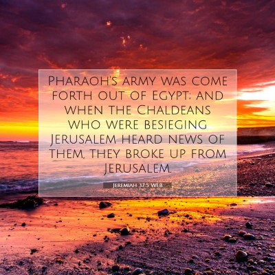 Picture 07 - Jeremiah 37:5 WEB - Pharaoh's army was come forth out of Egypt; and - Bible Verse Picture