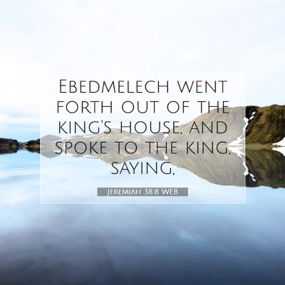 Picture 07 - Jeremiah 38:8 WEB - Ebedmelech went forth out of the king's house, - Bible Verse Picture