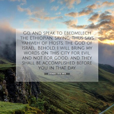 Picture 07 - Jeremiah 39:16 WEB - Go, and speak to Ebedmelech the Ethiopian, - Bible Verse Picture