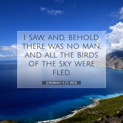 Picture 07 - Jeremiah 4:25 WEB - I saw, and, behold, there was no man, and all the - Bible Verse Picture