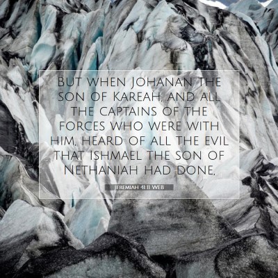 Picture 07 - Jeremiah 41:11 WEB - But when Johanan the son of Kareah, and all the - Bible Verse Picture