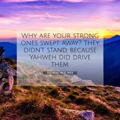 Picture 07 - Jeremiah 46:15 WEB - Why are your strong ones swept away? they didn't - Bible Verse Picture