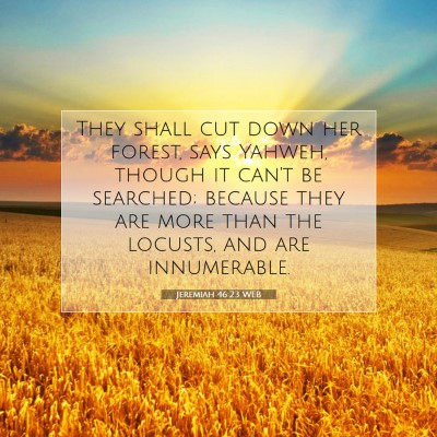 Picture 07 - Jeremiah 46:23 WEB - They shall cut down her forest, says Yahweh, - Bible Verse Picture