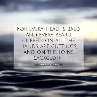 Picture 07 - Jeremiah 48:37 WEB - For every head is bald, and every beard clipped: - Bible Verse Picture