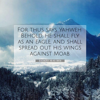 Picture 07 - Jeremiah 48:40 WEB - For thus says Yahweh: Behold, he shall fly as an - Bible Verse Picture