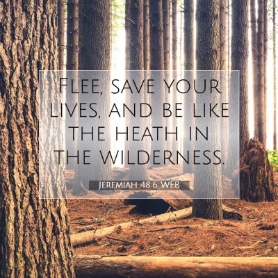 Picture 07 - Jeremiah 48:6 WEB - Flee, save your lives, and be like the heath in - Bible Verse Picture