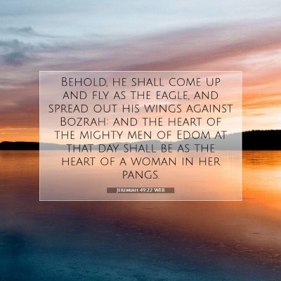 Picture 07 - Jeremiah 49:22 WEB - Behold, he shall come up and fly as the eagle, - Bible Verse Picture