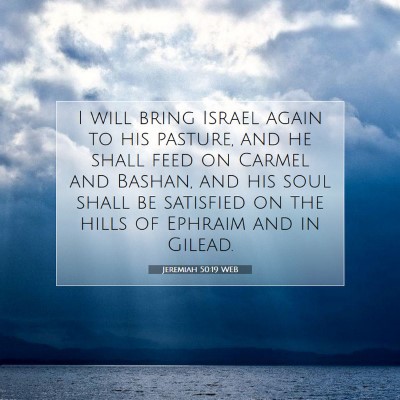 Picture 07 - Jeremiah 50:19 WEB - I will bring Israel again to his pasture, and he - Bible Verse Picture