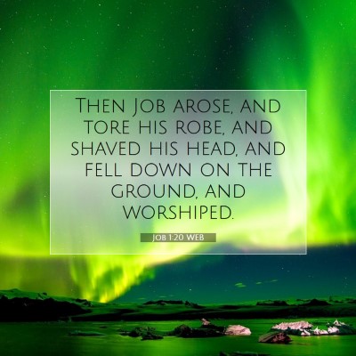 Picture 07 - Job 1:20 WEB - Then Job arose, and tore his robe, and shaved his - Bible Verse Picture