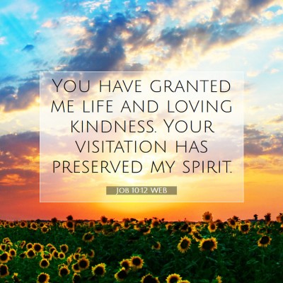 Picture 07 - Job 10:12 WEB - You have granted me life and loving kindness. - Bible Verse Picture