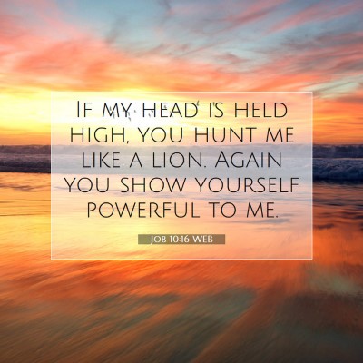 Picture 07 - Job 10:16 WEB - If my head is held high, you hunt me like a lion. - Bible Verse Picture