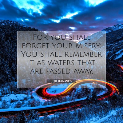 Picture 07 - Job 11:16 WEB - For you shall forget your misery; You shall - Bible Verse Picture