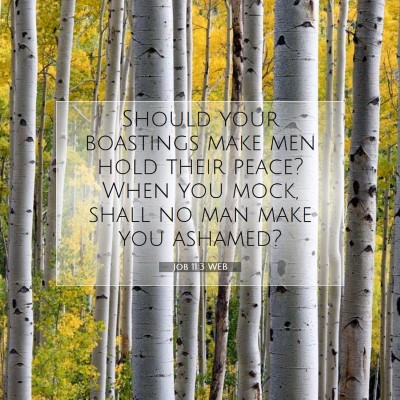 Picture 07 - Job 11:3 WEB - Should your boastings make men hold their peace? - Bible Verse Picture