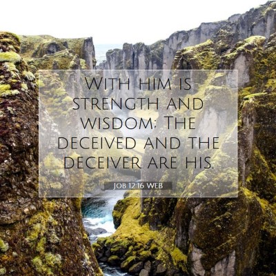 Picture 07 - Job 12:16 WEB - With him is strength and wisdom; The deceived and - Bible Verse Picture