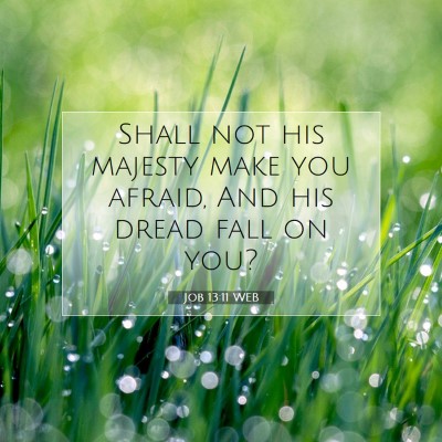 Picture 07 - Job 13:11 WEB - Shall not his majesty make you afraid, And his - Bible Verse Picture