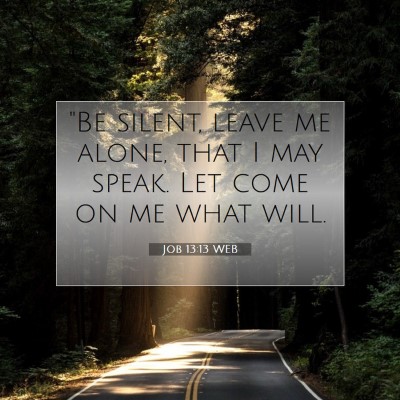Picture 07 - Job 13:13 WEB - 